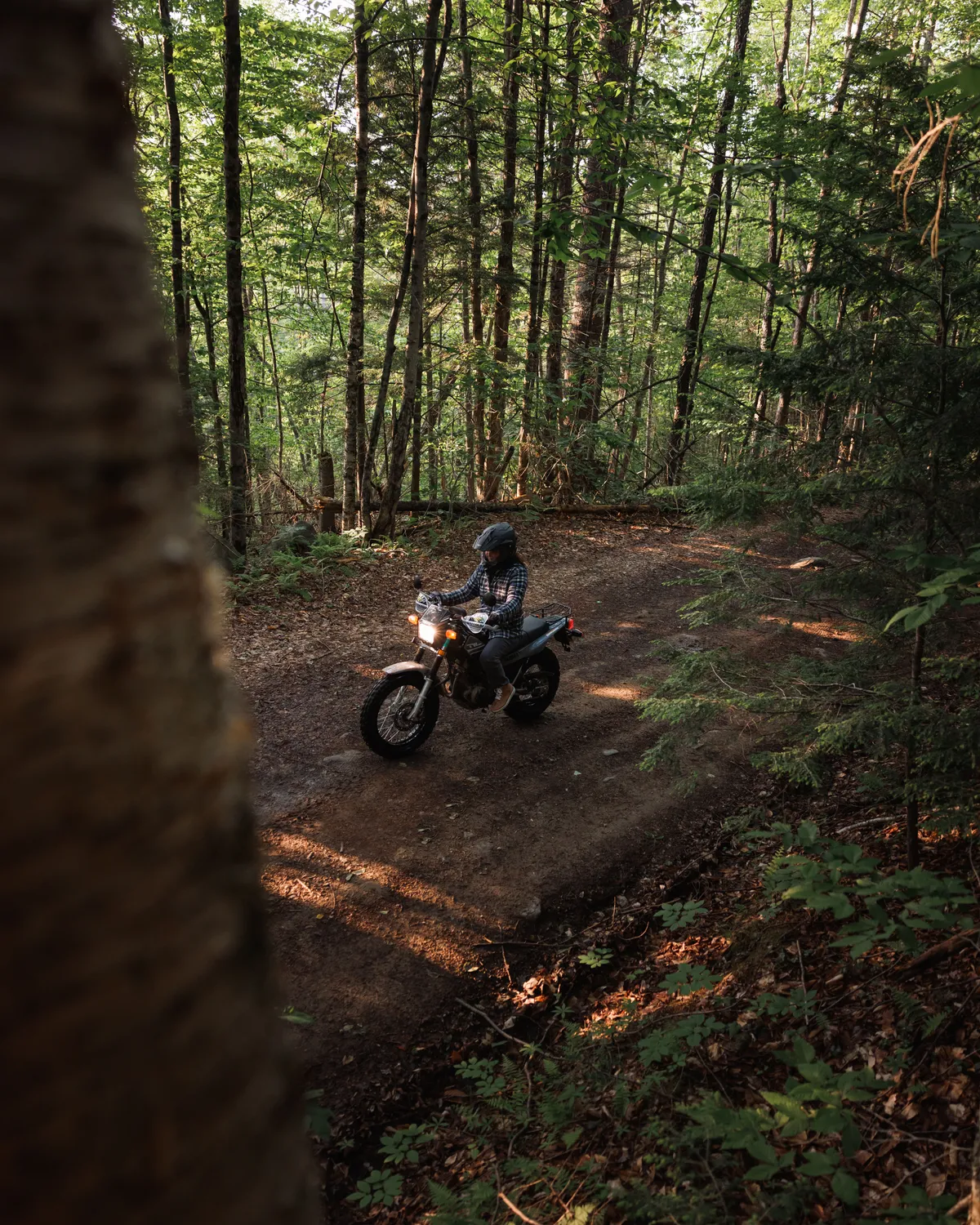 Dual-sport rider on a dirt trail through tall Adirondack forest