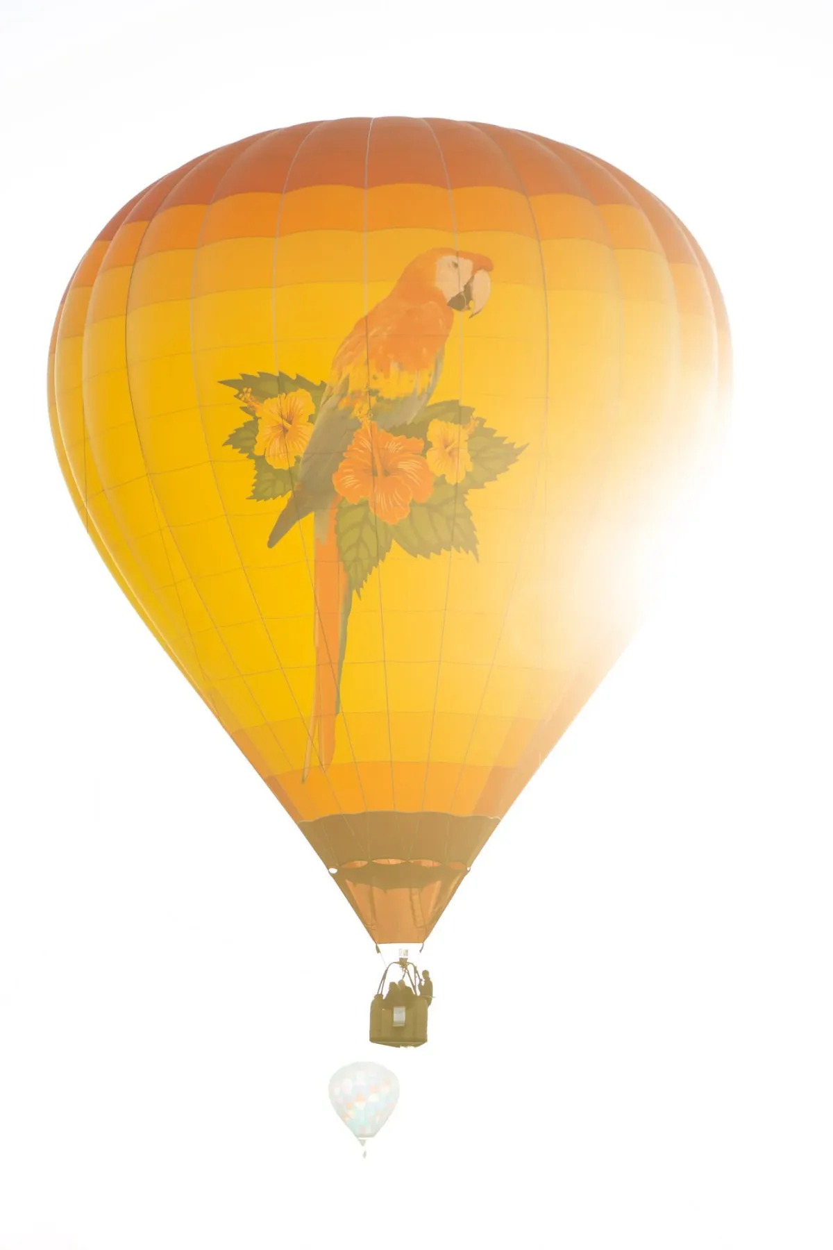 Hot air balloon painted with a parrot, glowing in the sun