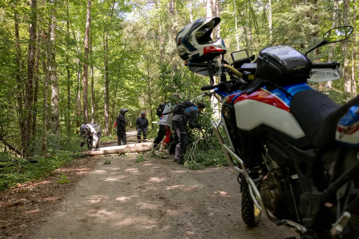 Adventure motorcycles parked along a wooded trail