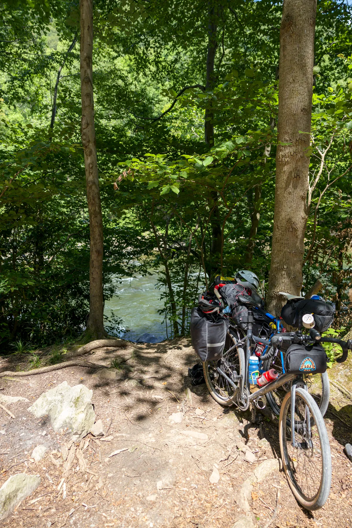 Loaded bikes leaning against trees above the Youghiogheny River