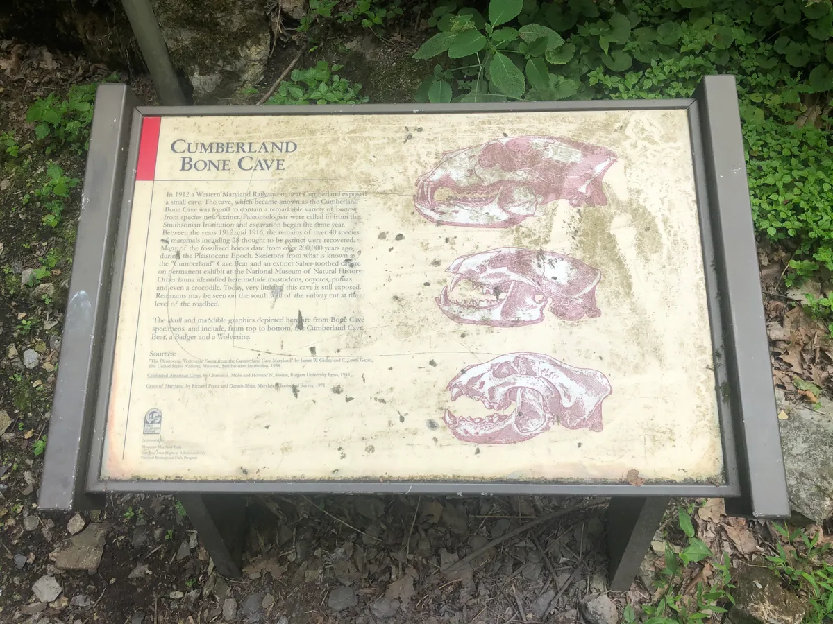 Weathered Cumberland Bone Cave interpretive sign with skull drawings