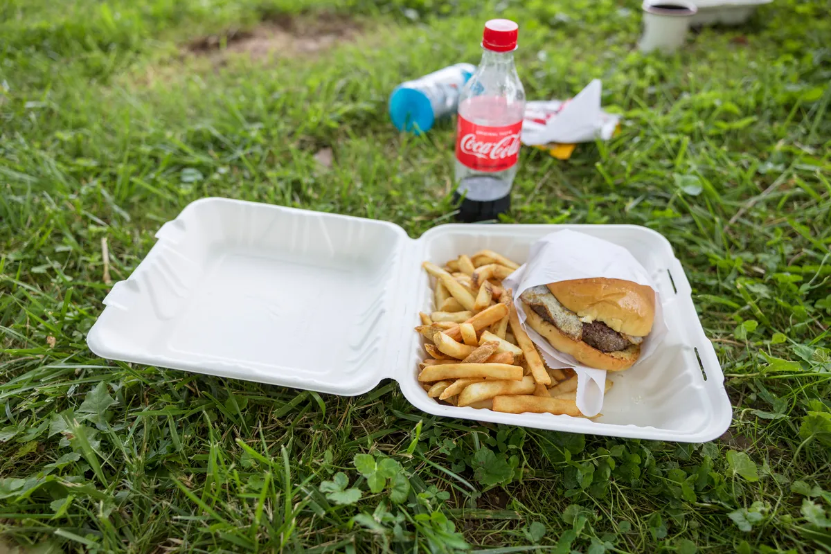 Takeout burger and fries with a Coca-Cola bottle on the grass