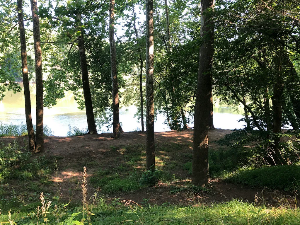 Campsite trees opening onto the river at dusk