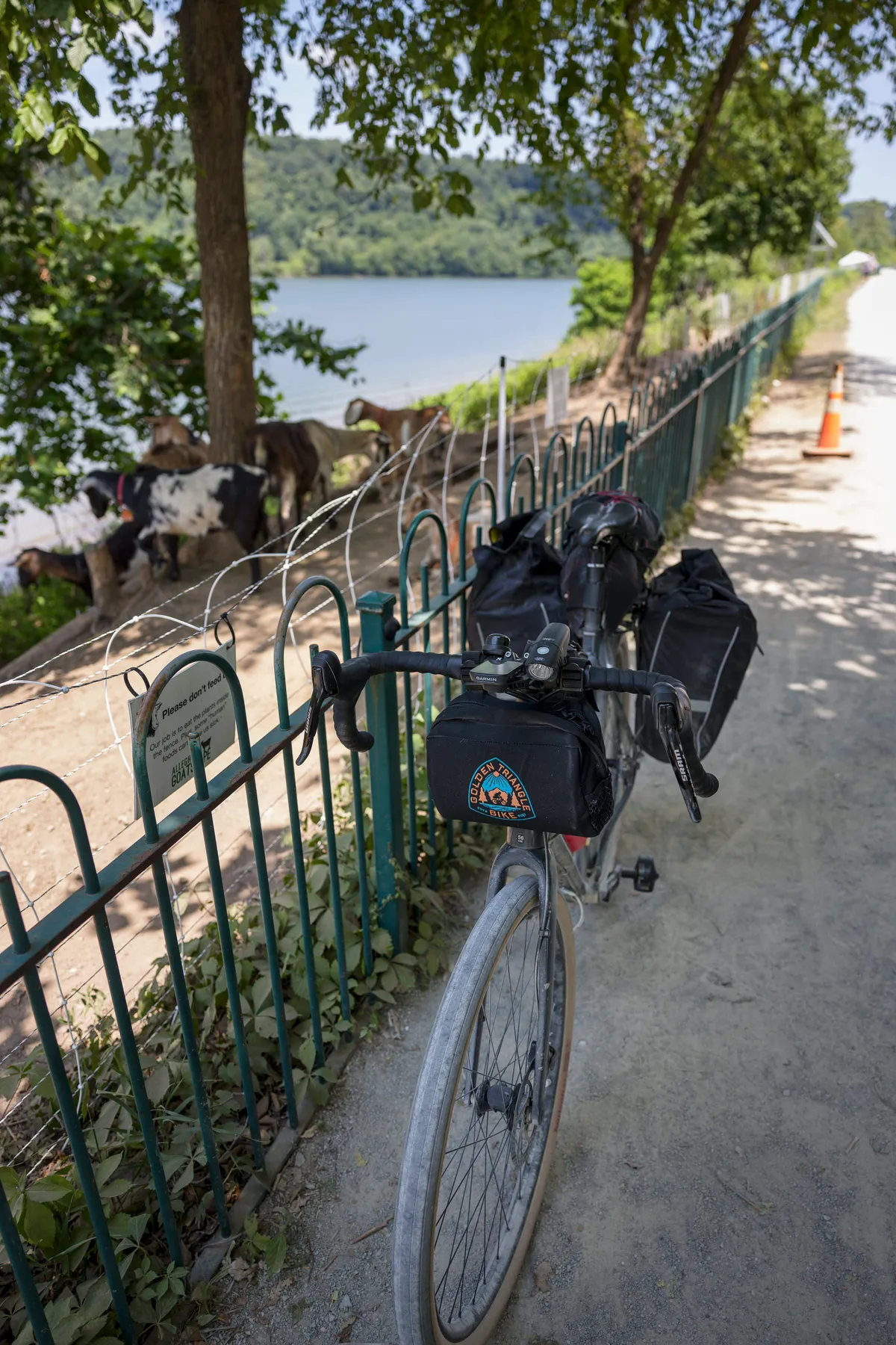 Loaded bike at a fence with goats grazing on the riverbank