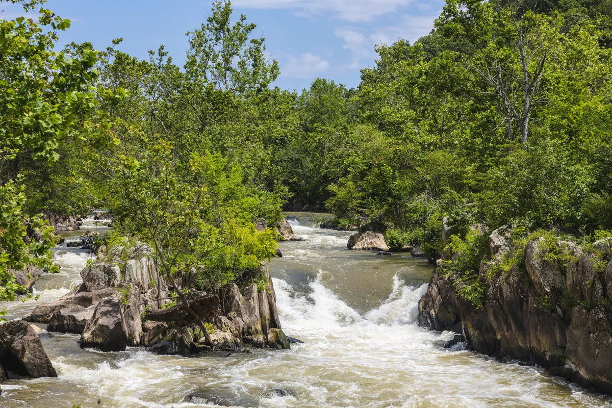 Great Falls cascade seen through the trees