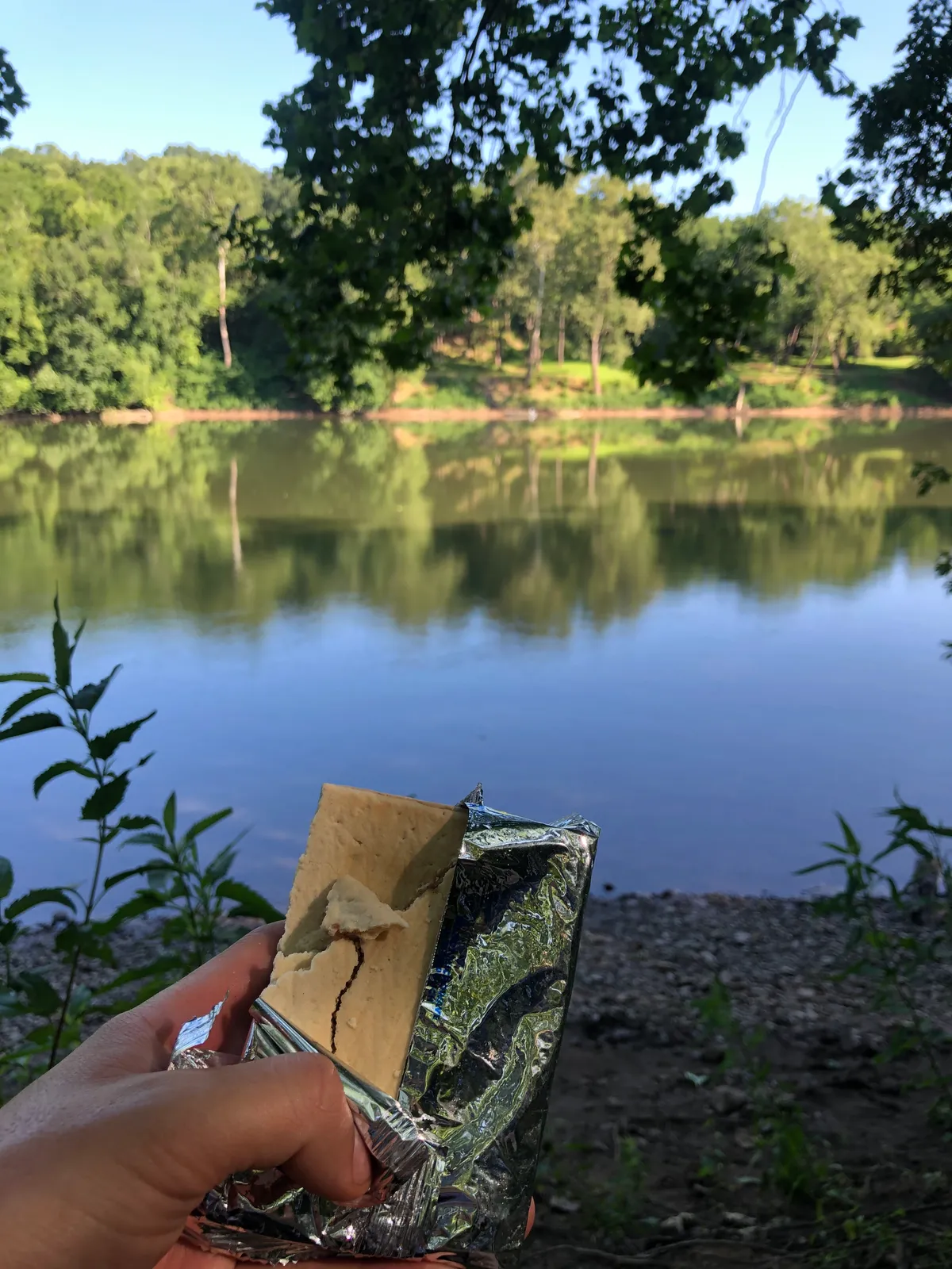 Hand holding a Pop-Tart in front of the river