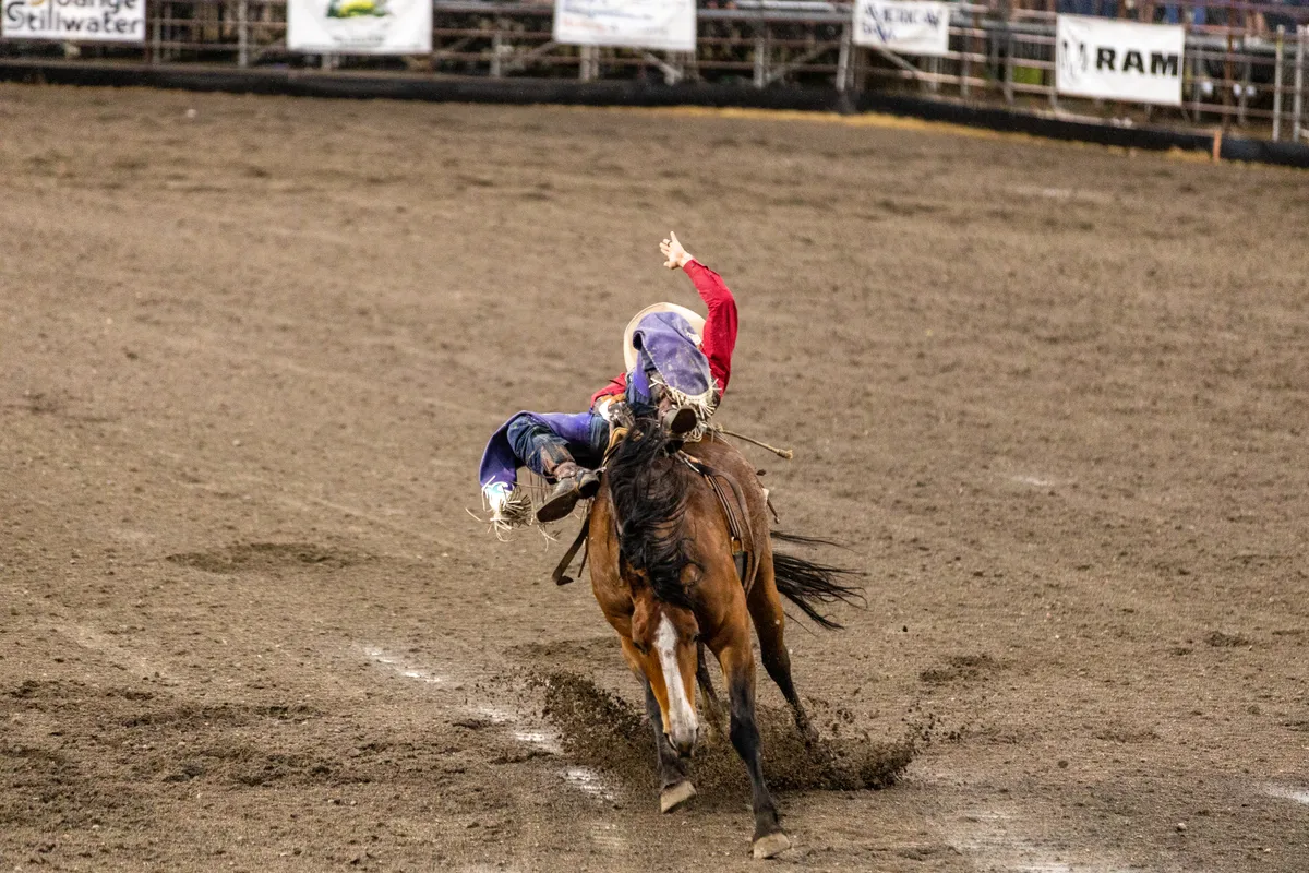 Bucking bronc kicking up mud as its rider leans back with one arm in the air