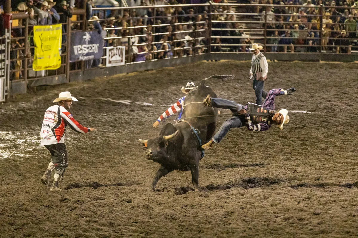 Bull rider thrown sideways off a black bull as bullfighters move in