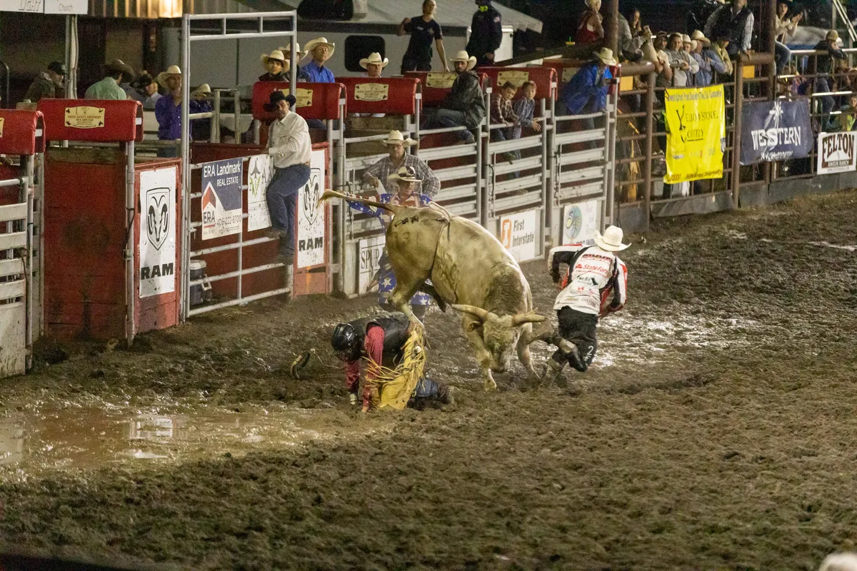 Bullfighters drawing a bull away from a fallen rider in the muddy arena