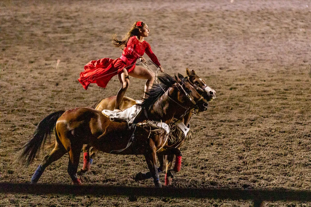 Trick rider in a red dress standing astride two galloping horses