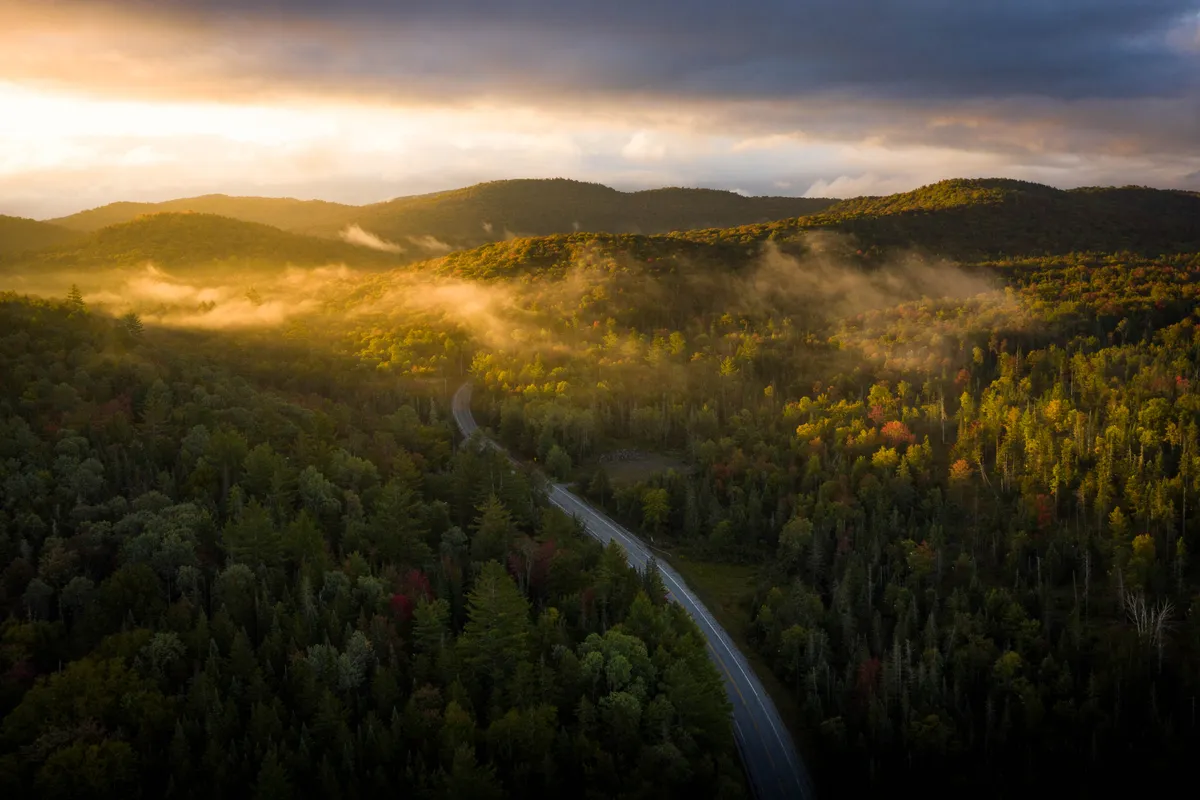 Autumn forest near Blue Mountain Lake in the Adirondacks, where Alex grew up exploring