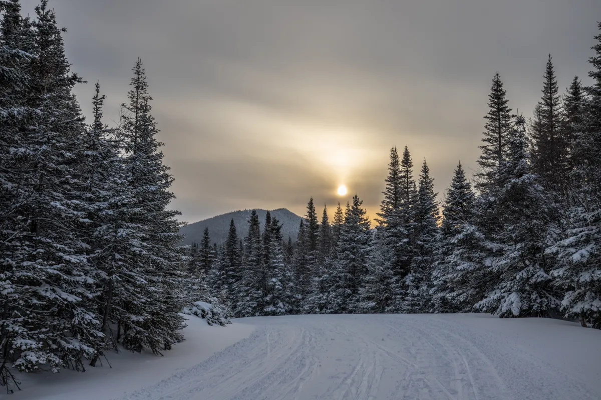 Snow-covered road between frosted spruce trees leading toward a mountain under a hazy setting sun