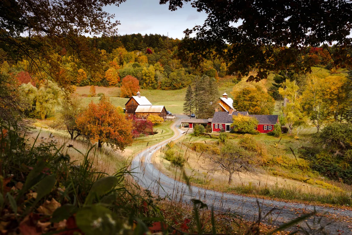 Gravel road curving toward a red farmhouse and barns through autumn trees, framed by overhanging branches